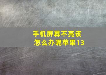 手机屏幕不亮该怎么办呢苹果13