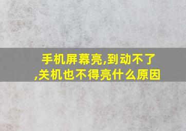 手机屏幕亮,到动不了,关机也不得亮什么原因