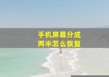 手机屏幕分成两半怎么恢复