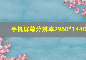 手机屏幕分辨率2960*1440