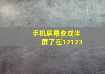 手机屏幕变成半屏了在12123