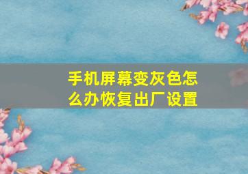 手机屏幕变灰色怎么办恢复出厂设置