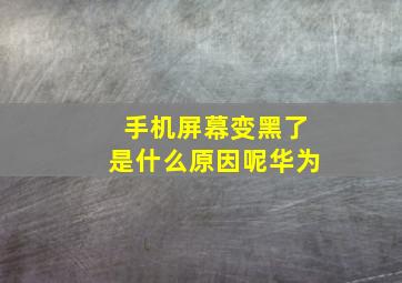 手机屏幕变黑了是什么原因呢华为