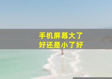 手机屏幕大了好还是小了好