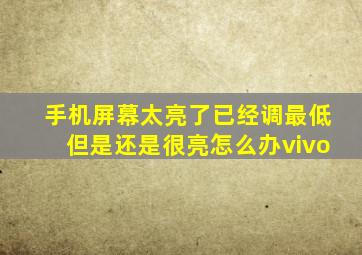 手机屏幕太亮了已经调最低但是还是很亮怎么办vivo