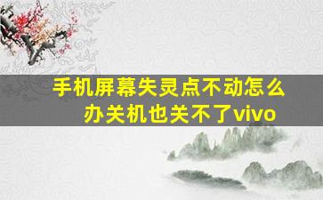 手机屏幕失灵点不动怎么办关机也关不了vivo