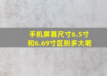 手机屏幕尺寸6.5寸和6.69寸区别多大呢