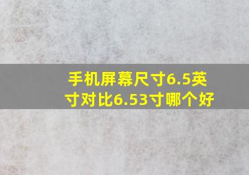 手机屏幕尺寸6.5英寸对比6.53寸哪个好