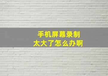 手机屏幕录制太大了怎么办啊