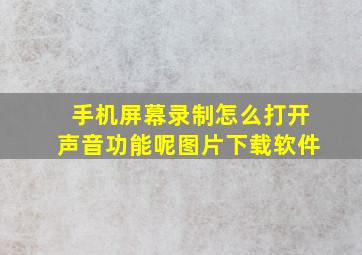 手机屏幕录制怎么打开声音功能呢图片下载软件