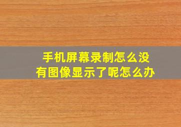 手机屏幕录制怎么没有图像显示了呢怎么办