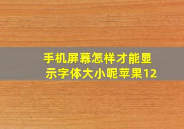 手机屏幕怎样才能显示字体大小呢苹果12