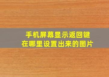 手机屏幕显示返回键在哪里设置出来的图片