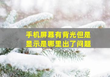 手机屏幕有背光但是显示是哪里出了问题