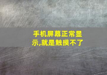 手机屏幕正常显示,就是触摸不了