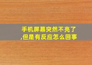 手机屏幕突然不亮了,但是有反应怎么回事