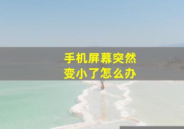 手机屏幕突然变小了怎么办