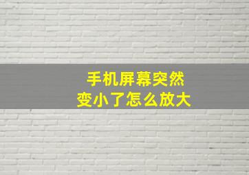 手机屏幕突然变小了怎么放大