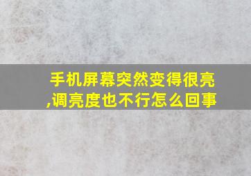 手机屏幕突然变得很亮,调亮度也不行怎么回事