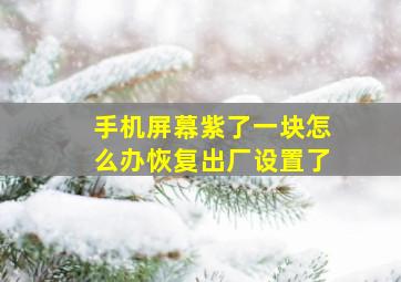 手机屏幕紫了一块怎么办恢复出厂设置了