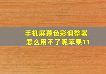 手机屏幕色彩调整器怎么用不了呢苹果11