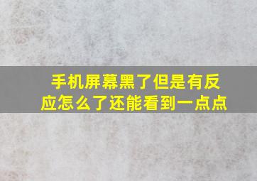 手机屏幕黑了但是有反应怎么了还能看到一点点