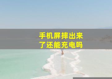 手机屏摔出来了还能充电吗