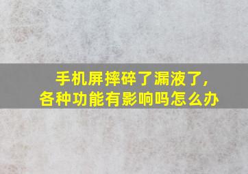 手机屏摔碎了漏液了,各种功能有影响吗怎么办