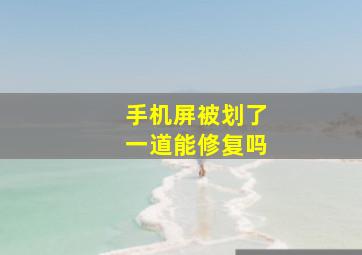 手机屏被划了一道能修复吗