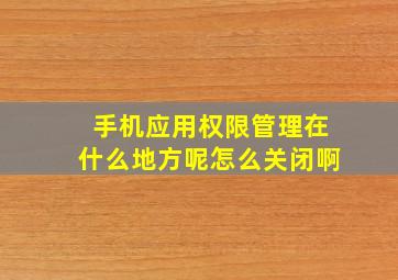 手机应用权限管理在什么地方呢怎么关闭啊