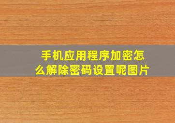 手机应用程序加密怎么解除密码设置呢图片