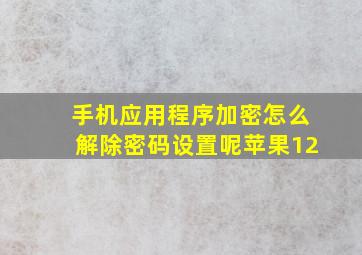 手机应用程序加密怎么解除密码设置呢苹果12