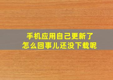 手机应用自己更新了怎么回事儿还没下载呢