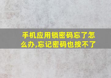 手机应用锁密码忘了怎么办,忘记密码也按不了