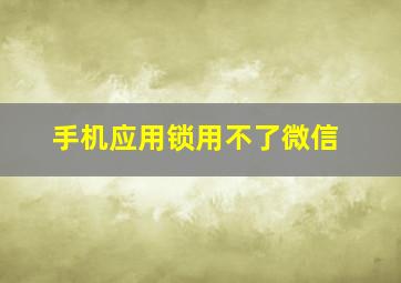 手机应用锁用不了微信