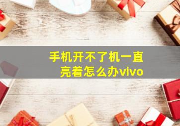 手机开不了机一直亮着怎么办vivo