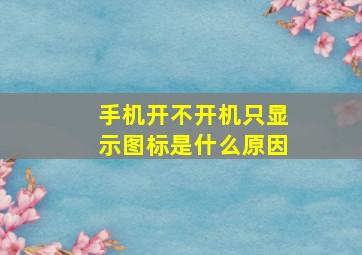 手机开不开机只显示图标是什么原因