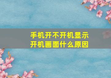 手机开不开机显示开机画面什么原因