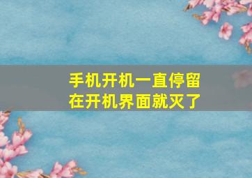 手机开机一直停留在开机界面就灭了