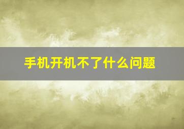 手机开机不了什么问题