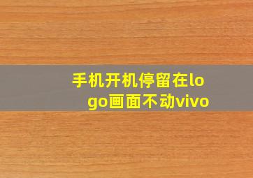 手机开机停留在logo画面不动vivo