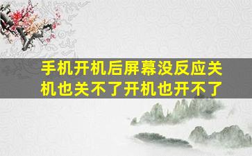 手机开机后屏幕没反应关机也关不了开机也开不了