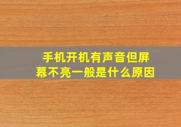 手机开机有声音但屏幕不亮一般是什么原因