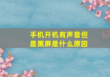 手机开机有声音但是黑屏是什么原因