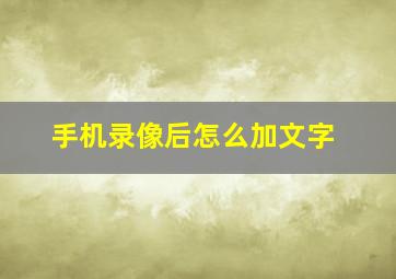 手机录像后怎么加文字