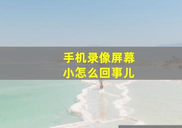 手机录像屏幕小怎么回事儿