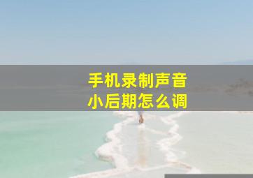 手机录制声音小后期怎么调