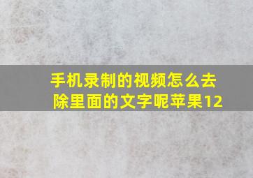 手机录制的视频怎么去除里面的文字呢苹果12