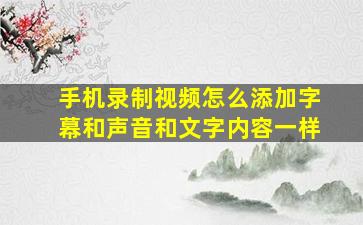 手机录制视频怎么添加字幕和声音和文字内容一样