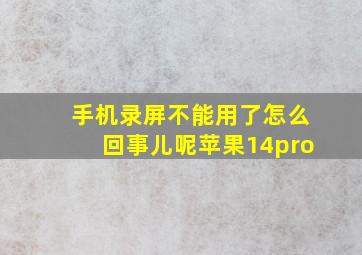 手机录屏不能用了怎么回事儿呢苹果14pro